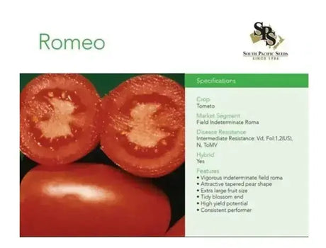 South Pacific Seeds - Romeo - Field Indeterminate Roma Tomato - 500 Seeds-Tomato Seeds South Pacific Seeds