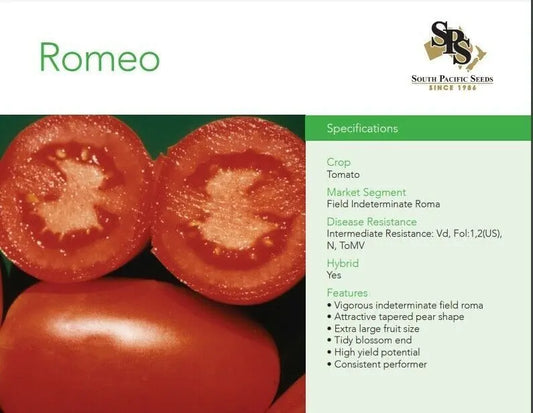 South Pacific Seeds - Romeo - Field Indeterminate Roma Tomato - 10 Seeds