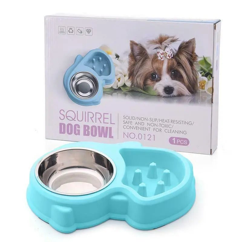 Squirrel Dog Bowl 3-in-1