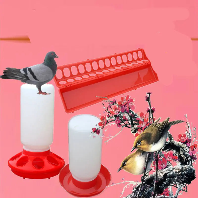 The Bird Feeds The Water Bottle To The Pigeon With A Waterer, Pigeon Trough Screw Mouth Bonnyrigg Produce & Garden Supplies