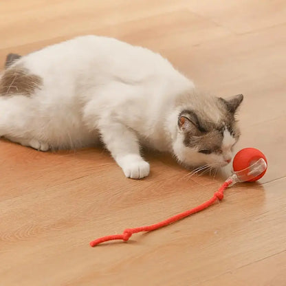 Toy Dog Cat Interactive Rechargeable Rolling Ball with Faux Tail
