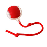 Toy Dog Cat Interactive Rechargeable Rolling Ball with Faux Tail