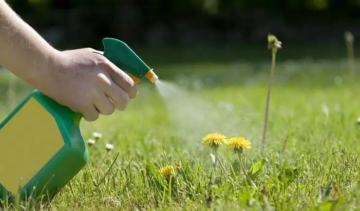 Weed and pest control products