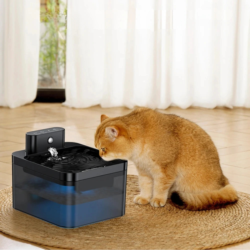 Wireless automatic water fountain pet dispenser australia