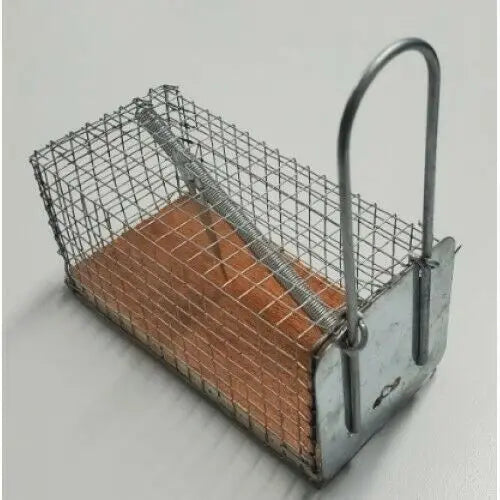 Wooden Base Mouse Trap (Size:11.5cm x 5.5cm x 5.5cm)
