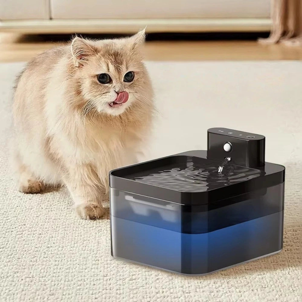 buy water fountain pet dispenser