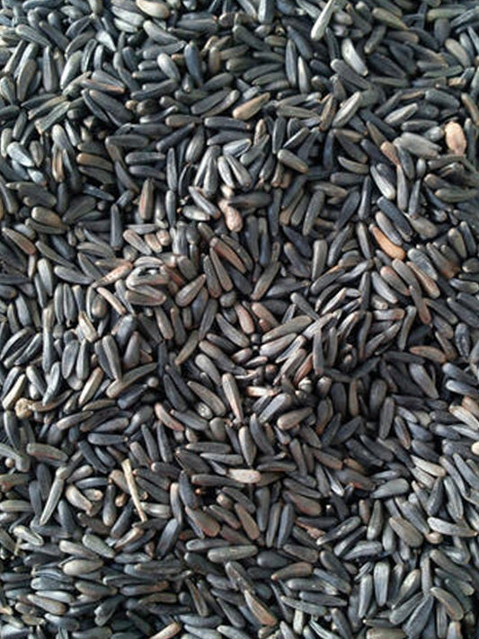 Avigrain Niger Seed