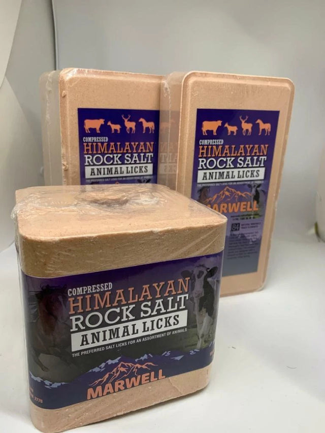 Marwell Himalayan Salt Lick | Rock Salt Block for Livestock