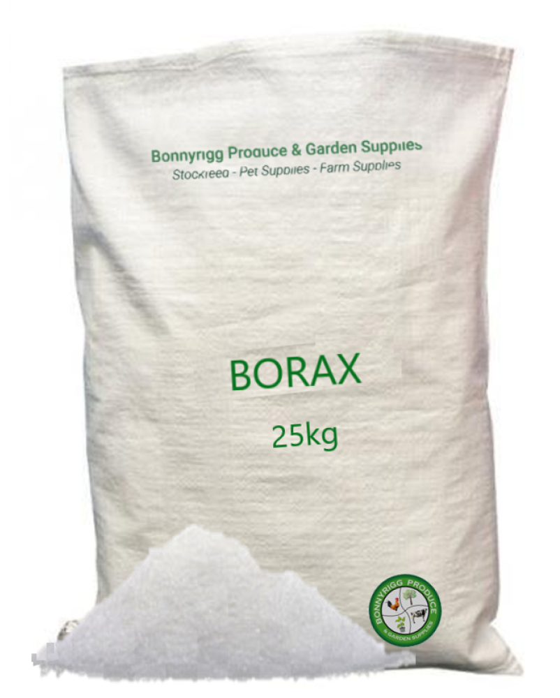 Borax Powder Sodium Tetraborate Decahydrate Slime Weed Bonnyrigg